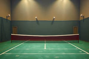 Badminton Laws Overview