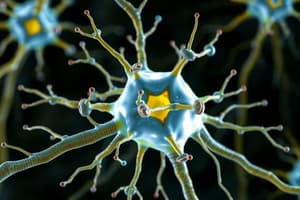 Neuroscience Neuronal Communication Quiz