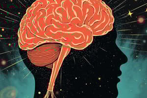 Evolution of the Brain: Behavior to Consciousness
