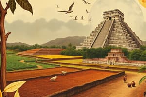 Mayan Chocolate and Its Significance