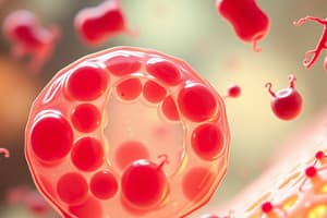 Lysosomes Overview and Functions