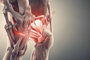 Knee Anatomy and Injuries Quiz