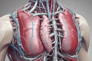 Pericardium Anatomy and Function Quiz