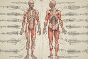 Fisiologia del sangue: pH e sistemi tampone