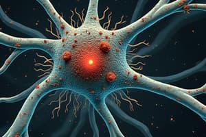 Human Neuroscience: Electrical Signals