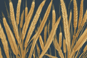 Structure and Reproduction of Wheat Plants