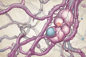 ADH Hormone Function and Pathway