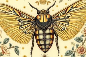 Cicada Emergence and Lifecycle Quiz