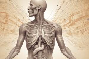 Respiratory System Anatomy and Function Quiz