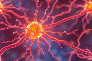 Nervous System Cells and Neuron Types