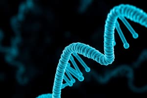 Types of RNA Inhibitors