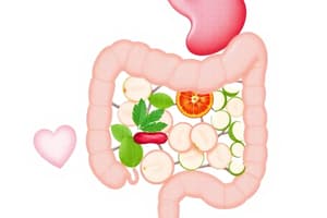 Biologie 10e : Système Digestif et Nutrition