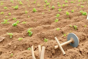 Laboreo del Terreno y Aperos de Labranza