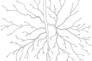 Il Sistema Linfatico: Funzioni e Ruolo (Fisiologia 36)