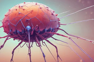 Bacteriophage Therapy Updates