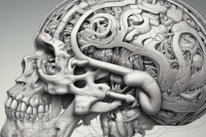 Brain Structure: Midsagittal Plane