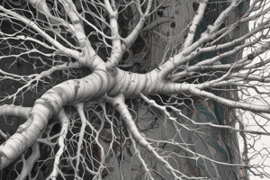 Neural Plasticity and Dendritic Spine Morphology