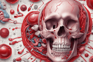 Blood Components and Medical Terms Quiz