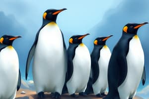 Penguins: Species and Habitats