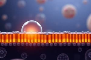 1.3 Cell Membrane Transport Overview