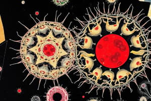 Prokaryotic and Eukaryotic Cells