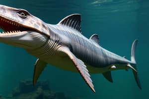 Ichthyosaurs: Ancient Marine Reptiles