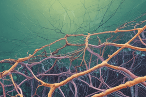 Cell Junctions: Tight Junctions Quiz