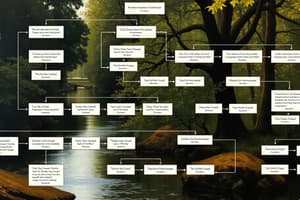 Programación: Diagramas de Flujo