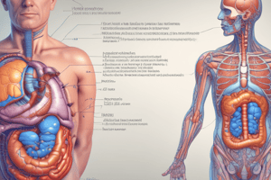 Chapter 20 Pathophysiology of Insulin and Pancreas