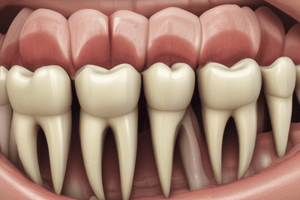 Ultrasonic Root End Preparation in Endodontics