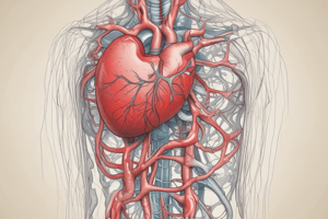 What is a Stroke? Understanding the Medical Emergency