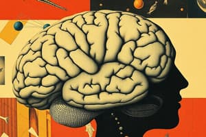 Neuroscience Basics Quiz