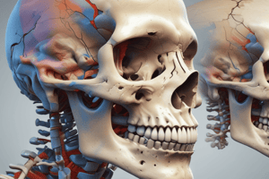 Bloque 1 Anatomía