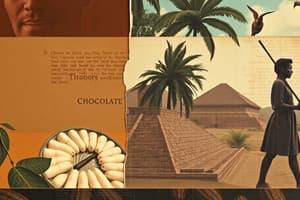 Chocolate History and Production