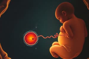 Embryonic Development and Fetal Development