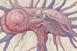 Nervous System Histology