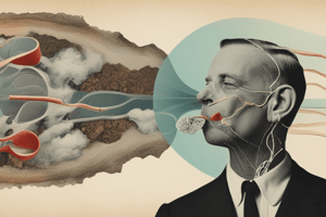 Human Respiratory System Overview