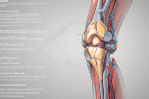 Knee Joints and Orthopedics