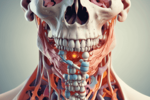 Drugs affecting bone  metabolism