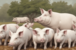 Pig Production and Management