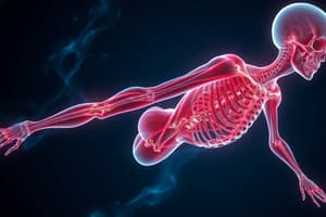 Muscle Tissue Types and Skeletal Muscle