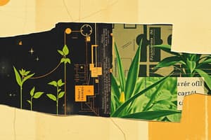 Photosynthesis and ATP Overview