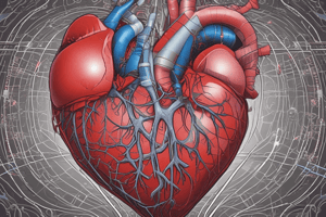 Heart Anatomy Quiz