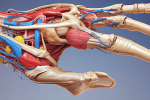 Neurology of the Upper Limb