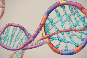 DNA Topology and Properties