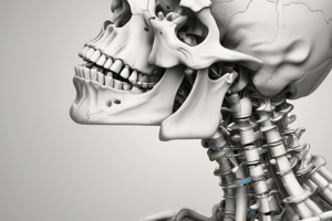 Temporo-mandibular Articulation