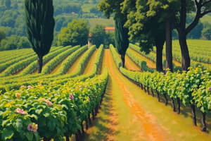 Terroir in Italy Quiz