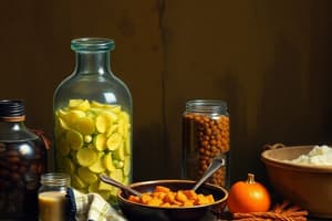 La fermentazione degli alimenti: storia e origini