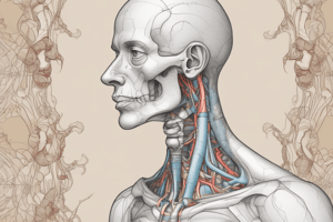 Thyroid and Neck Disorders