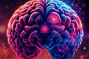 Brain Structure and Function Quiz